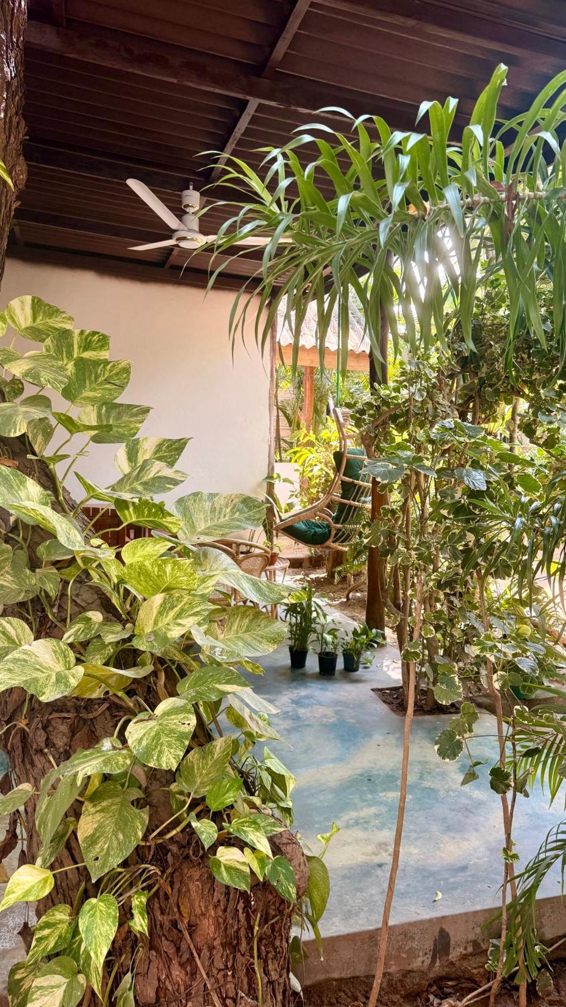 Arcadia Villas Arugambay 阿鲁甘湾 外观 照片